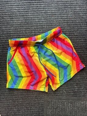 Men's Rainbow Stripe Swim Trunks - Vibrant Multicolor